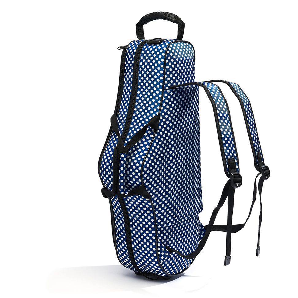 beaumont alto sax case 2