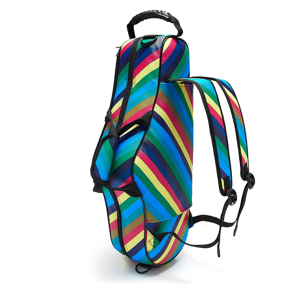 beaumont alto saxophone case candy band 2