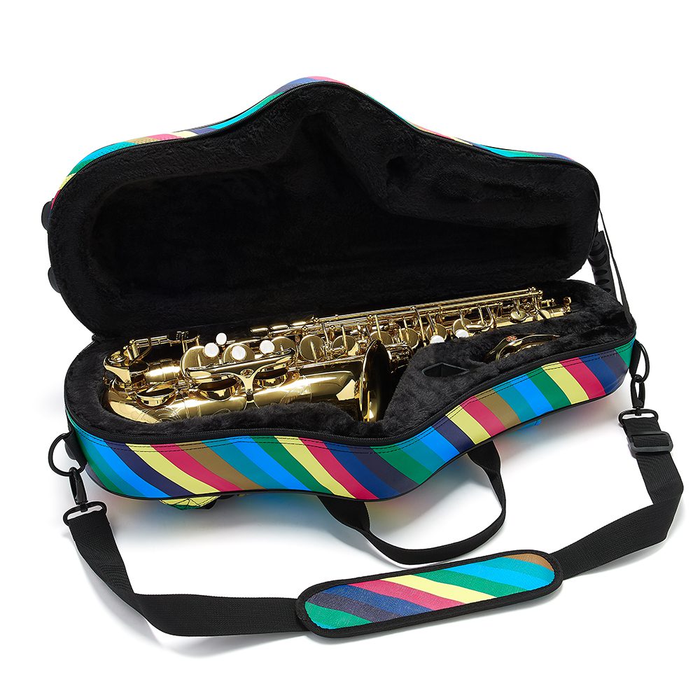 beaumont alto saxophone case candy band 3