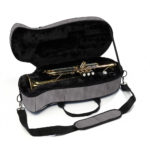 beaumont trumpet case pinstripe 2