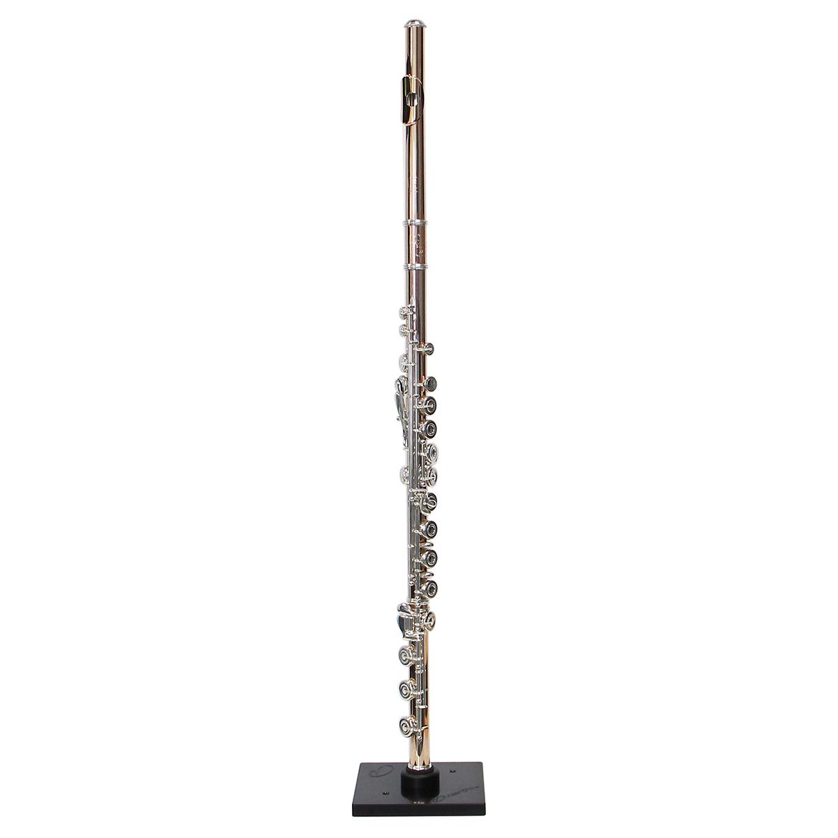 12+ Picolo Flute Background