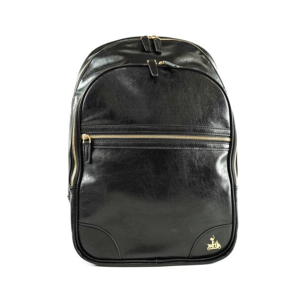 Fluterscooterbackpack 2
